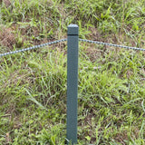 Rope Stakes